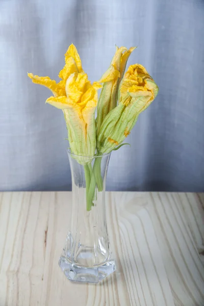 Zucchini-Blüten — Stockfoto