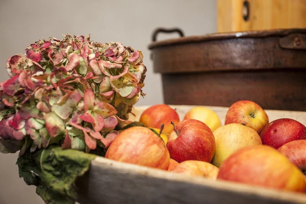 Apples and Hortense — Stock Photo, Image