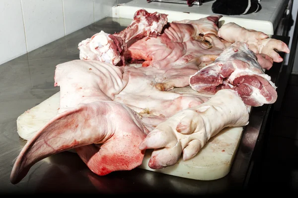 돼지고기의 실험실 — 스톡 사진