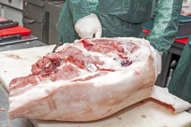 Laboratuvar domuz eti