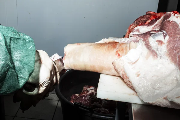 돼지고기의 실험실 — 스톡 사진