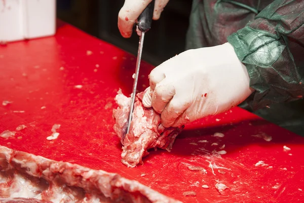 Laboratório de carne de porco — Fotografia de Stock