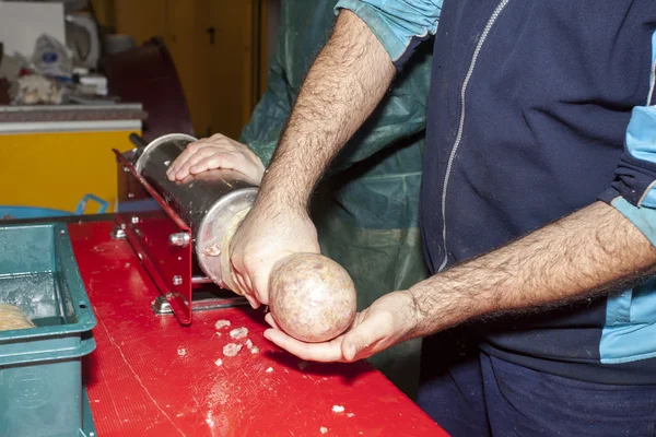 Лабораторія свинячого м'яса — стокове фото