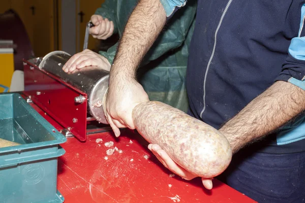 Laboratorium voor varkensvlees — Stockfoto