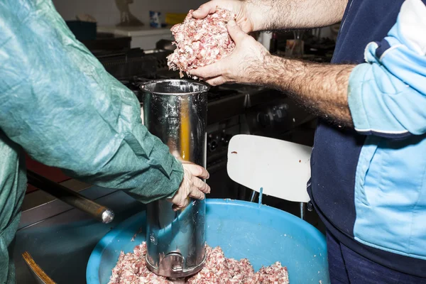 Laboratory of pork meat — Stock Photo, Image