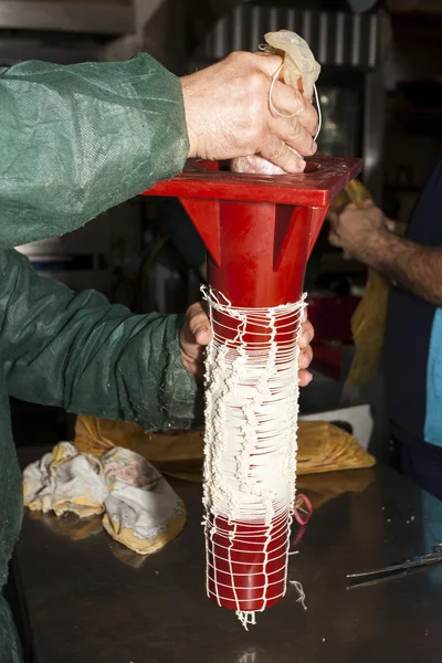 Laboratorium voor varkensvlees — Stockfoto