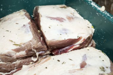 Laboratuvar domuz eti