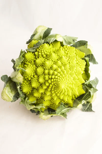 Roman cabbage — Stock Photo, Image