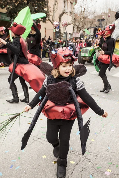 Muggia Carnival Parade, Italy — Stock Photo, Image