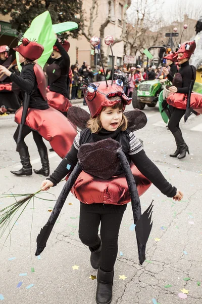 Muggia Carnival, Италия — стоковое фото