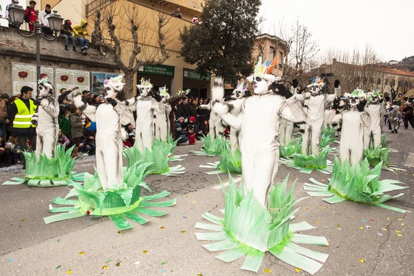 Muggia carnival parade, Italien — Stockfoto