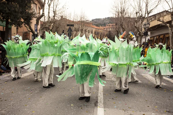 Desfile de Carnaval de Muggia, Italia — Foto de Stock