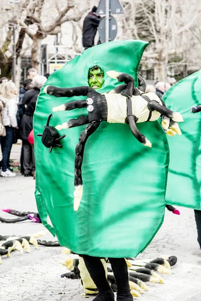 Muggia carnival parade, Italien — Stockfoto