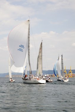 Regatta Muggia Portoroz Muggia