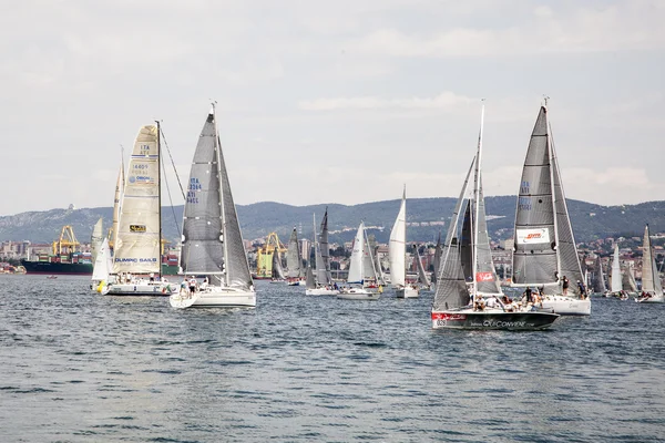 Regatta Muggia Portoroz Muggia — Stock Fotó