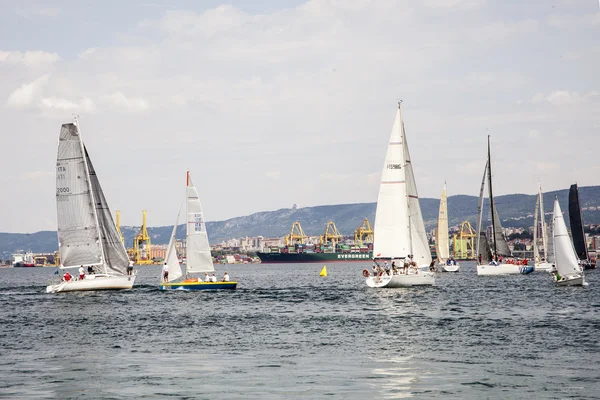 Regatta Muggia Portoroz Muggia