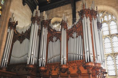 geniş açı boru organ