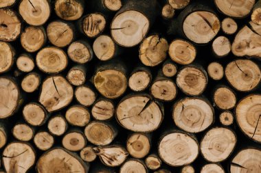 Birbiri üzerine istiflenmiş odun kütüklerinin arka planı.