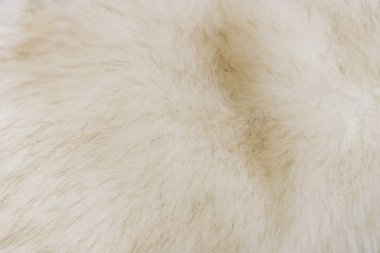 Hafif, beyaz, kürklü arka plan. Mesaj atmak için boş bir yer, tırnak içinde ya da deyişler için. Üst Manzara. Yakın çekim..