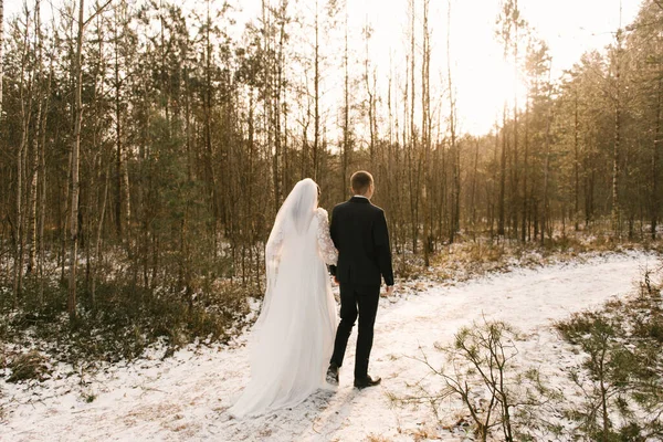 Νύφη Και Γαμπρός Νυφικό Θέα Στον Ήλιο Χιονισμένος Χειμωνιάτικος Γάμος — Φωτογραφία Αρχείου