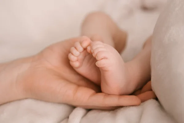 Маленькие Ножки Новорожденной Девочки Руке Папы Светлом Фоне — стоковое фото