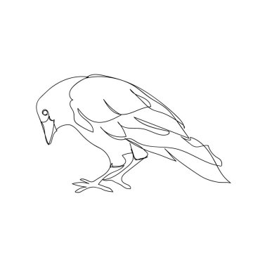 Kapüşonlu kuş bir çizgi sanat. Cadılar bayramı temasının aralıksız çizimi, gotik, kuşbilim, korkunç, kuş.