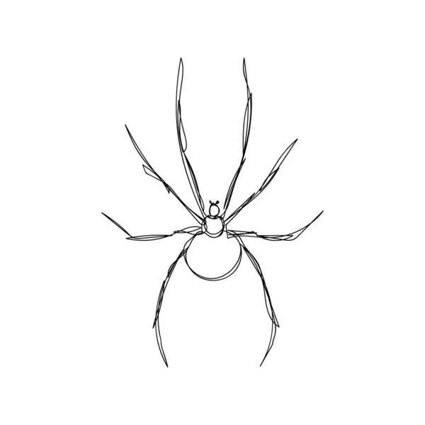 Spider una línea de arte. Dibujo de línea continua del tema de Halloween, gótico, artrópodo, horrible, aterrador, viuda negra, karakurt, tarántula. — Archivo Imágenes Vectoriales