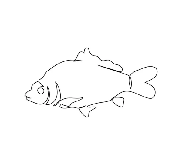 Carpa, carpa cruciana, tinca tinca dibujo de línea continua. Arte de una línea de peces de agua dulce, mariscos, animales marinos. — Vector de stock