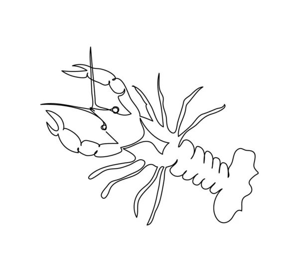 Cangrejos de río, langosta línea continua dibujo. Arte de una línea de artrópodos, mariscos, animales marinos. — Archivo Imágenes Vectoriales