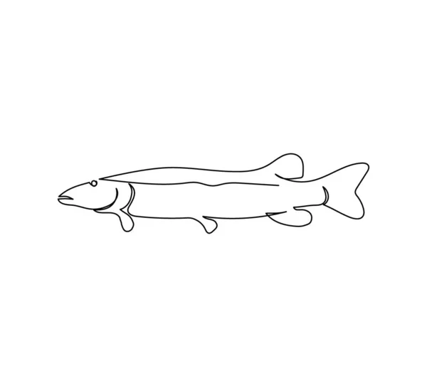 Szczupak, ryby słodkowodne ciągły rysunek linii. Jedna linia sztuki drapieżnych ryb, owoców morza, zwierząt morskich. — Wektor stockowy