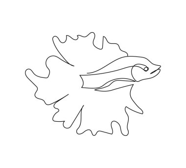 Beta görkemi, gözetleme kuyruğu, süs balığı sürekli çizgi çizimi. Bir sıra akvaryum balığı sanatı, deniz hayvanı.