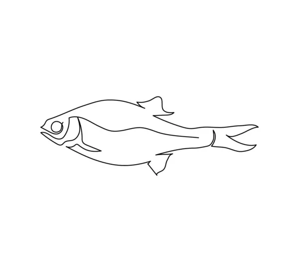 Радд, рыба-таракан, рисование линии. Искусство одной линии пресноводной рыбы, морепродуктов. — стоковый вектор