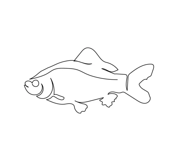 Carpa, crucian desenho de linha contínua. Uma linha de arte de peixes, frutos do mar, peixes de água doce. — Vetor de Stock