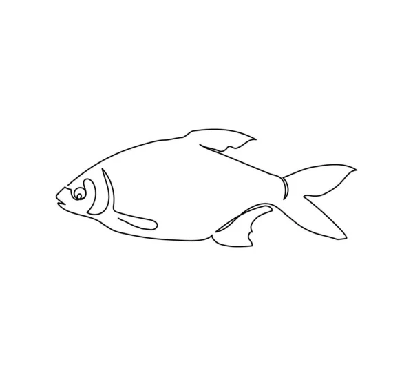 Bream, abramis brama linha contínua desenho. Uma linha de arte de peixes de água doce, animais marinhos. — Vetor de Stock
