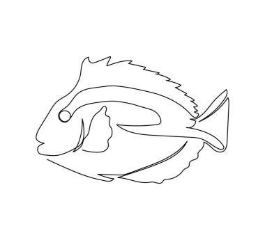 Melek balığı, cerrah balığı, imparatorluk meleği sürekli çizgi çizimi. Bir sıra egzotik, tropikal balık, mercan balığı, deniz ürünleri sanatı..