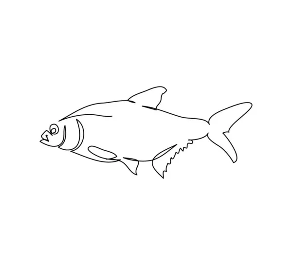 ラッド、ローチ魚、パーチ、鯉連続線画。淡水魚、魚介類の一つのラインアート. — ストックベクタ