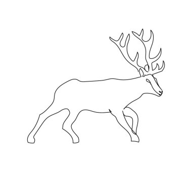 Genç geyik bir çizgi sanatı. Yeni yılın aralıksız çizimleri, dondurucu soğuk, tatiller, Noel geyiği, hayvan, orman, vahşi hayvan, Noel Baba 'nın yardımcısı, kuzey kutbu..