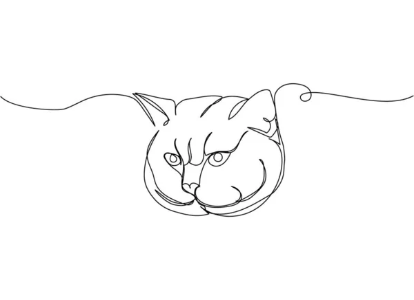 Scottish Fold Cat Encabeza Una Línea Arte Dibujo Línea Continua — Vector de stock