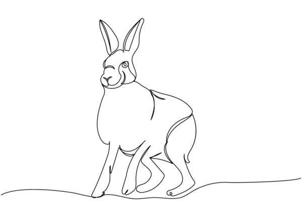 Tolai Hare Coelho Uma Linha Arte Desenho Linha Contínua Animal —  Vetores de Stock