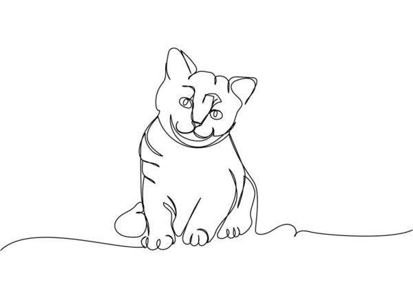 Americká Krátkosrstá Kočka Koťátko Jedním Řádkem Umění Nepřetržitá Linie Kresba — Stockový vektor