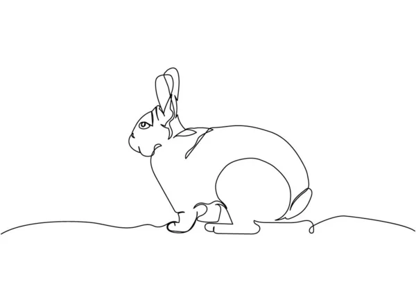 Domestic Harlequin Rabbit Bunny One Line Art Continuous Line Drawing — Stock Vector