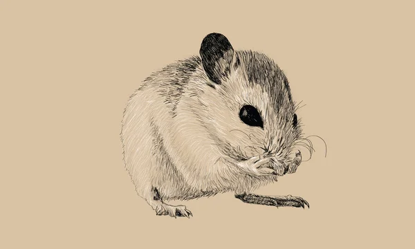 Набросок мыши — стоковый вектор