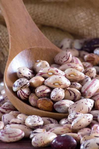 Fagioli borlotti in un cucchiaio di legno e sacchetto — Foto Stock