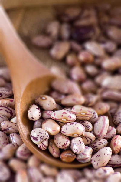 Fagioli borlotti in un cucchiaio di legno e sacchetto — Foto Stock