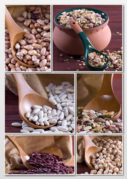 Legumes - Collage — Stock Photo, Image