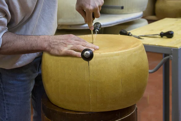 Taglio di una forma italiana di formaggio — Foto Stock