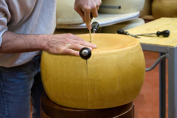 Taglio di una ruota di un formaggio italiano — Foto Stock