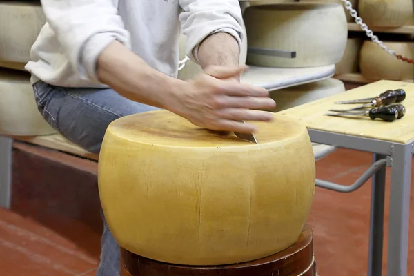 Taglio di una ruota di un formaggio italiano — Foto Stock