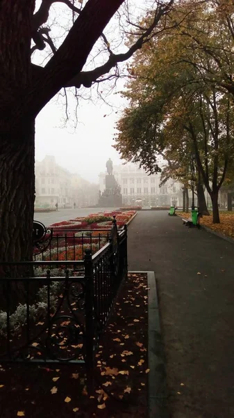 Şehir Parkının Güzel Manzarası — Stok fotoğraf