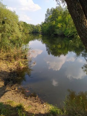 Nehir ve ormanlı güzel bir yaz manzarası